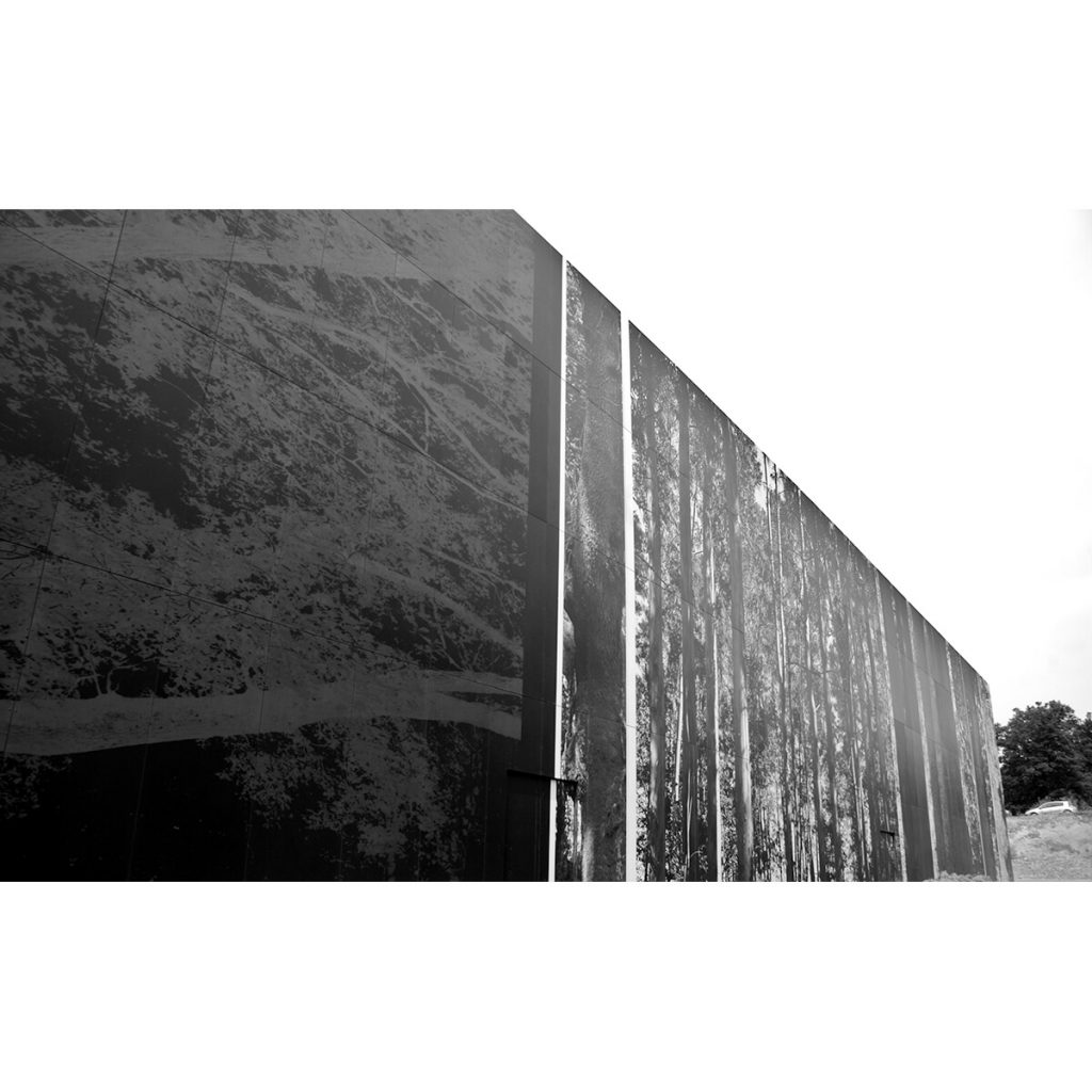 Fachada naturaleza 8